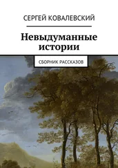 Сергей Ковалевский - Невыдуманные истории. Сборник рассказов