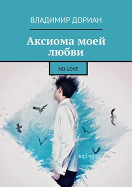 Владимир Дориан Аксиома моей любви. No Love обложка книги