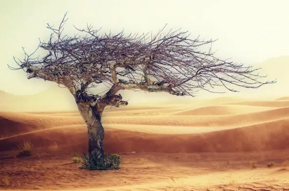 Fog Once when I was yet in my earthly life I transformed into a fog I - фото 25