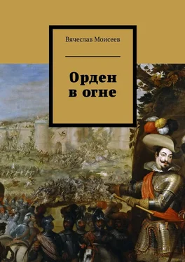 Вячеслав Моисеев Орден в огне обложка книги