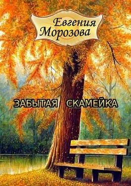 Евгения Морозова Забытая скамейка обложка книги