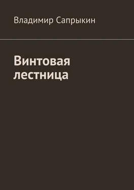 Владимир Сапрыкин Винтовая лестница обложка книги