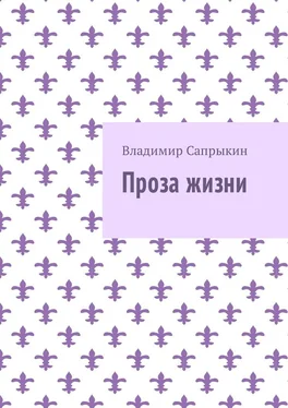 Владимир Сапрыкин Проза жизни обложка книги