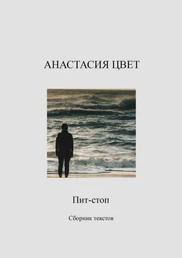 Анастасия Цвет Пит-стоп обложка книги