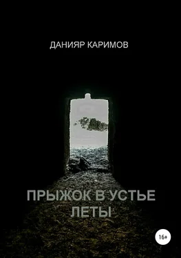 Данияр Каримов Прыжок в устье Леты обложка книги