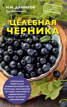 Николай Даников Целебная черника обложка книги