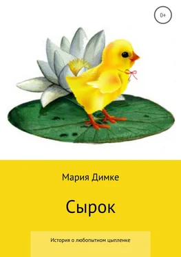 Мария Димке Сырок обложка книги