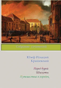 Юзеф Игнаций Крашевский Перед бурей. Шнехоты. Путешествие в городок (сборник) обложка книги