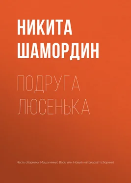 Никита Шамордин Подруга Люсенька обложка книги