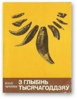 Міхаіл Чарняўскі З глыбінь тысячагоддзяў обложка книги