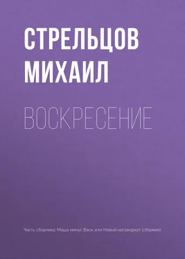 Михаил Стрельцов Воскресение обложка книги