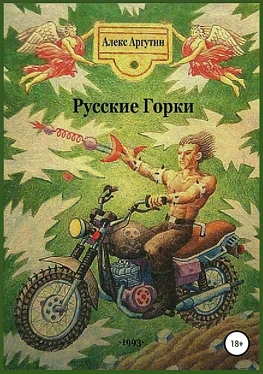 Алекс Аргутин Русские горки обложка книги