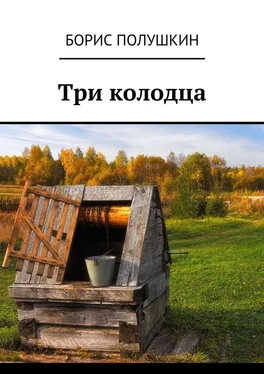 Борис Полушкин Три колодца обложка книги