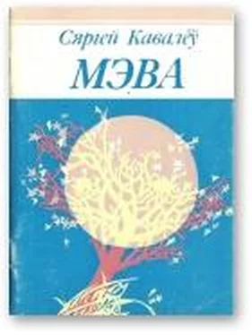 Сяргей Кавалёў Мэва обложка книги