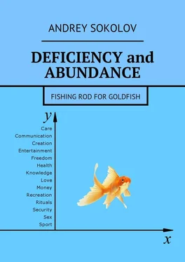 Andrey Sokolov Deficiency and abundance. Fishing Rod for Goldfish обложка книги