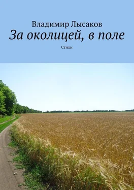 Владимир Лысаков За околицей, в поле. Стихи обложка книги