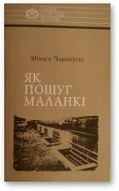 Міхась Чарняўскі Як пошуг маланкі обложка книги