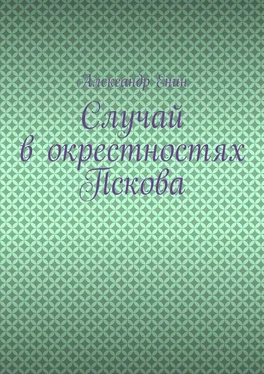 Александр Енин Случай в окрестностях Пскова обложка книги