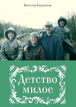 Вячеслав Евдокимов Детство милое обложка книги