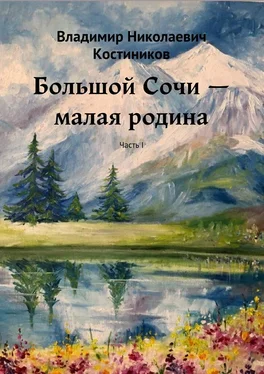 Владимир Костиников Большой Сочи – малая родина. Часть I обложка книги