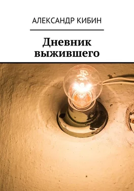 Александр Кибин Дневник выжившего обложка книги