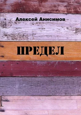 Алексей Анисимов Предел обложка книги