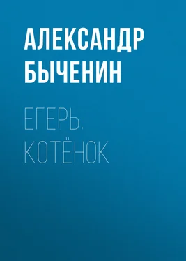 Александр Быченин Егерь. Котёнок обложка книги