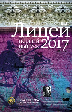 Кристина Гептинг Лицей 2017. Первый выпуск (сборник) обложка книги