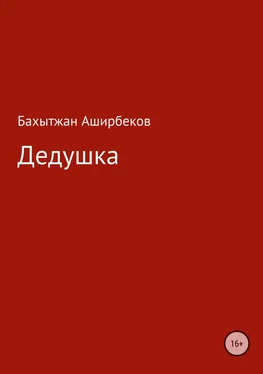 Бахытжан Аширбеков Дедушка обложка книги