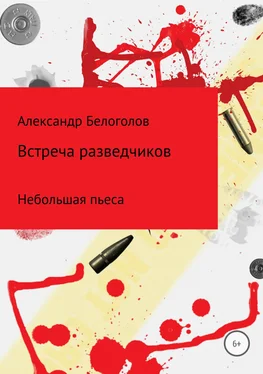 Александр Белоголов Встреча разведчиков обложка книги