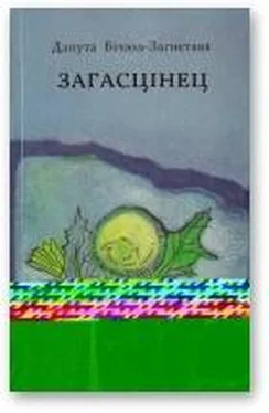 Данута Бічэль-Загнетава Загасцінец обложка книги