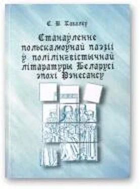 Сяргей Кавалёў Станаўленне польскамоўнай паэзіі ў полілінгвістычнай літаратуры Беларусі эпохі Рэнесансу обложка книги