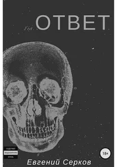 Евгений Серков - Ответ