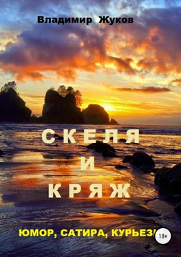 Владимир Жуков Скеля и Кряж обложка книги