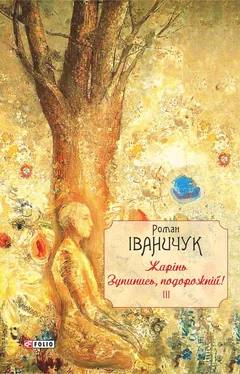 Роман Іваничук Жарінь. Зупинись, подорожній! обложка книги