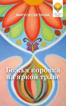 Маруся Светлова Божья коровка на яркой траве (сборник) обложка книги