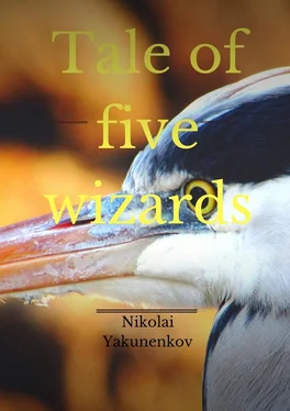 Nikolai Yakunenkov Tale of five wizards обложка книги