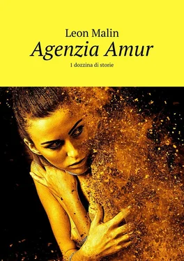 Leon Malin Agenzia Amur. 1 dozzina di storie обложка книги