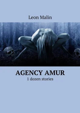 Leon Malin Agency Amur. 1 dozen stories обложка книги