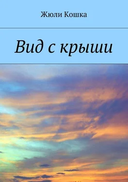 Жюли Кошка Вид с крыши обложка книги