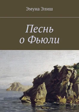 Эмуна Элиш Песнь о Фьюли. Fjylarkvida обложка книги