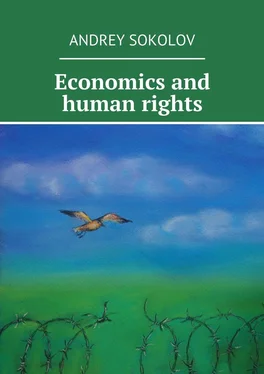 Andrey Sokolov Economics and human rights обложка книги