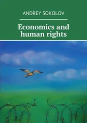 Andrey Sokolov - Economics and human rights