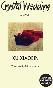 Xiaobin Xu Crystal Wedding обложка книги