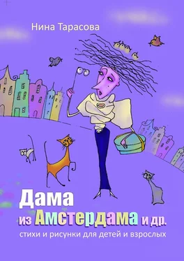 Нина Тарасова Дама из Амстердама и др. Стихи и рисунки для детей и взрослых обложка книги