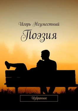 Игорь Неуместный Поэзия. Избранное обложка книги