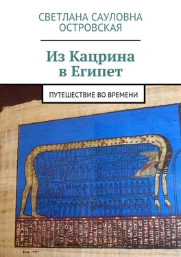 Светлана Островская Из Кацрина в Египет. Путешествие во времени обложка книги