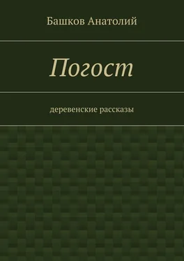 Башков Анатолий Погост. деревенские рассказы обложка книги