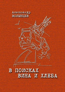 Александр Волынцев В поисках Вина и Хлеба обложка книги