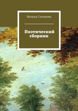 Наталья Степанова Поэтический сборник обложка книги